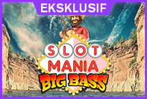 slot mania image